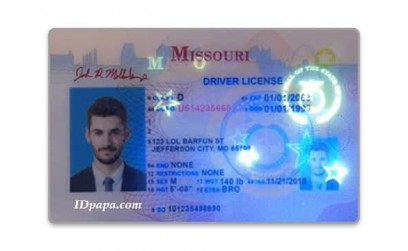 Application of fake scannable id