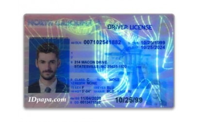 The use and performance of fake ids