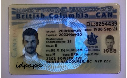 Introduction: the scannable ID cards