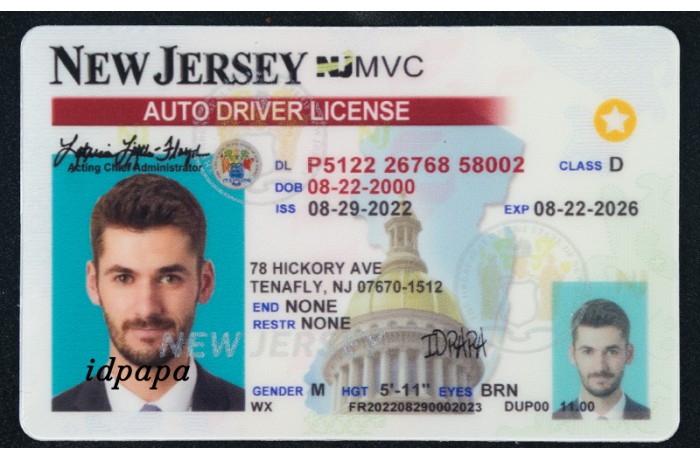 Buy Fake IDs online at IDPAPA, Best Fake ID websites